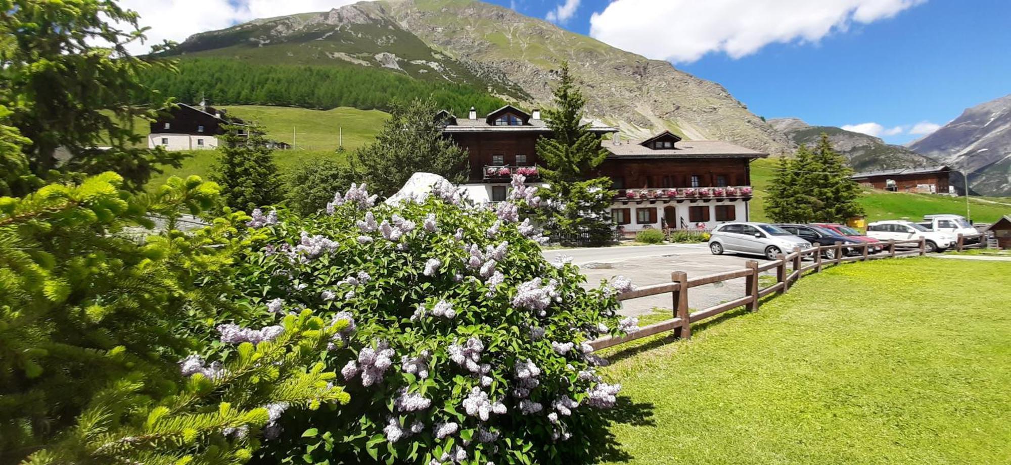 ليفينو Chalet Del Sole Per Gruppi المظهر الخارجي الصورة