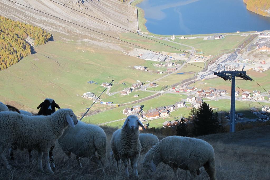 ليفينو Chalet Del Sole Per Gruppi المظهر الخارجي الصورة